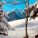 Chalet Apartment In Saalbach Hinterglemm