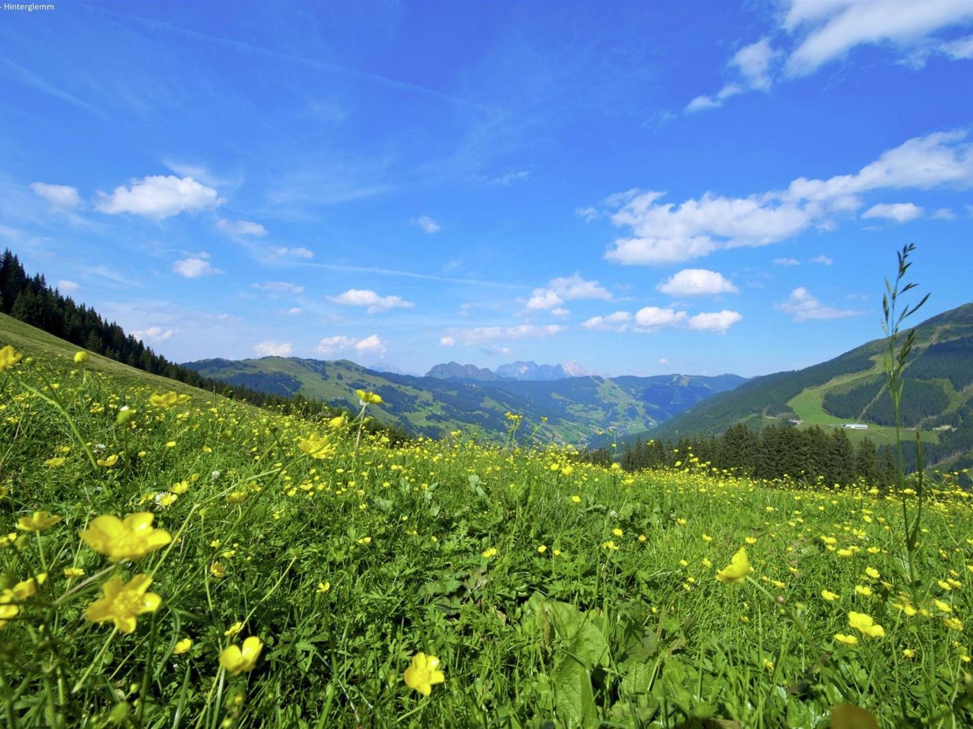 Chalet In Hinterglemm *